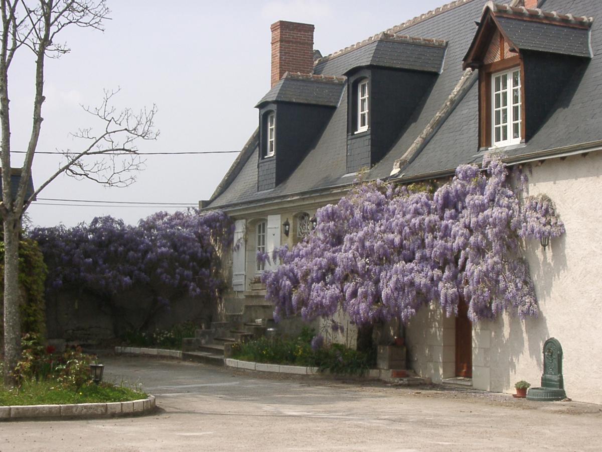 Au Clos De L'Epinay Vouvray Ngoại thất bức ảnh